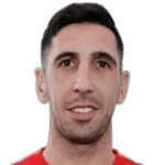 Д. Доррегараи