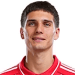 Н. Домингуез