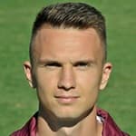 Д. Баумгартнер