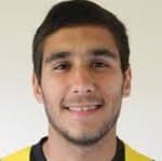 М. Сарикаиа