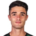 Г. Феррарини