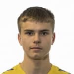 Л. Хеимиссон