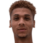 Джерри Вилцхире