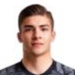 Игнатиджс Колесникс