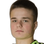 К. Ианковскии