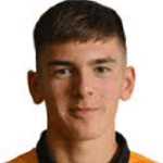 Дж. Фулстон