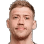 Владислав Дибин