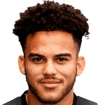 Д. Келли-Еванс