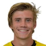 Н. Фремстад