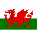 Логотип Wales U19