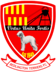 Логотип Bedlington Terriers FC