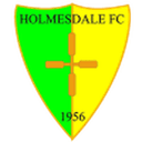 Логотип Holmesdale