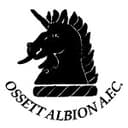 Логотип Ossett Albion