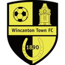 Логотип Wincanton Town