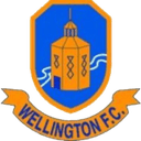 Логотип Wellington