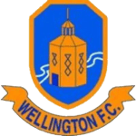 Логотип Wellington