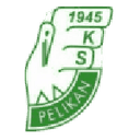 Логотип Pelikan Łowicz