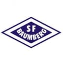 Логотип SF Baumberg