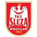 Логотип Ślęza Wrocław