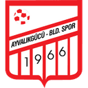 Логотип Ayvalikgucu