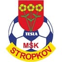 Логотип MSK Tesla Stropkov