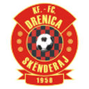 Логотип Drenica Skënderaj