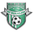 Логотип Dukagjini