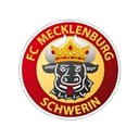 Логотип Mecklenburg Schwerin
