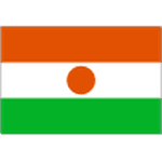 Логотип Niger