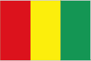 Логотип Guinea