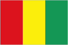 Логотип Guinea