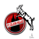 Логотип Feulen