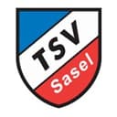 Логотип Sasel
