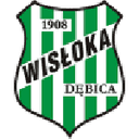 Логотип Wisłoka Dębica
