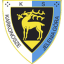 Логотип Karkonosze Jelenia Góra
