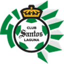 Логотип Laguna