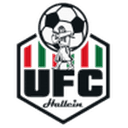 Логотип UFC Hallein