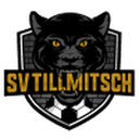 Логотип Tillmitsch
