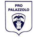 Логотип Pro Palazzolo