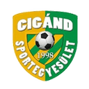 Логотип Cigand SE