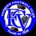 Логотип Vernier