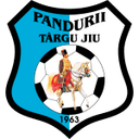 Логотип Pandurii TG JIU
