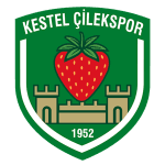 Логотип Kestel Çilek