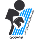 Логотип Paykan