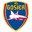 Логотип Gosier