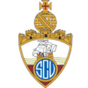 Логотип Vianense