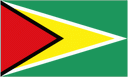 Логотип Guyana