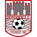 Логотип Dergview