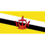 Логотип Brunei