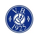 Логотип Vejgaard B